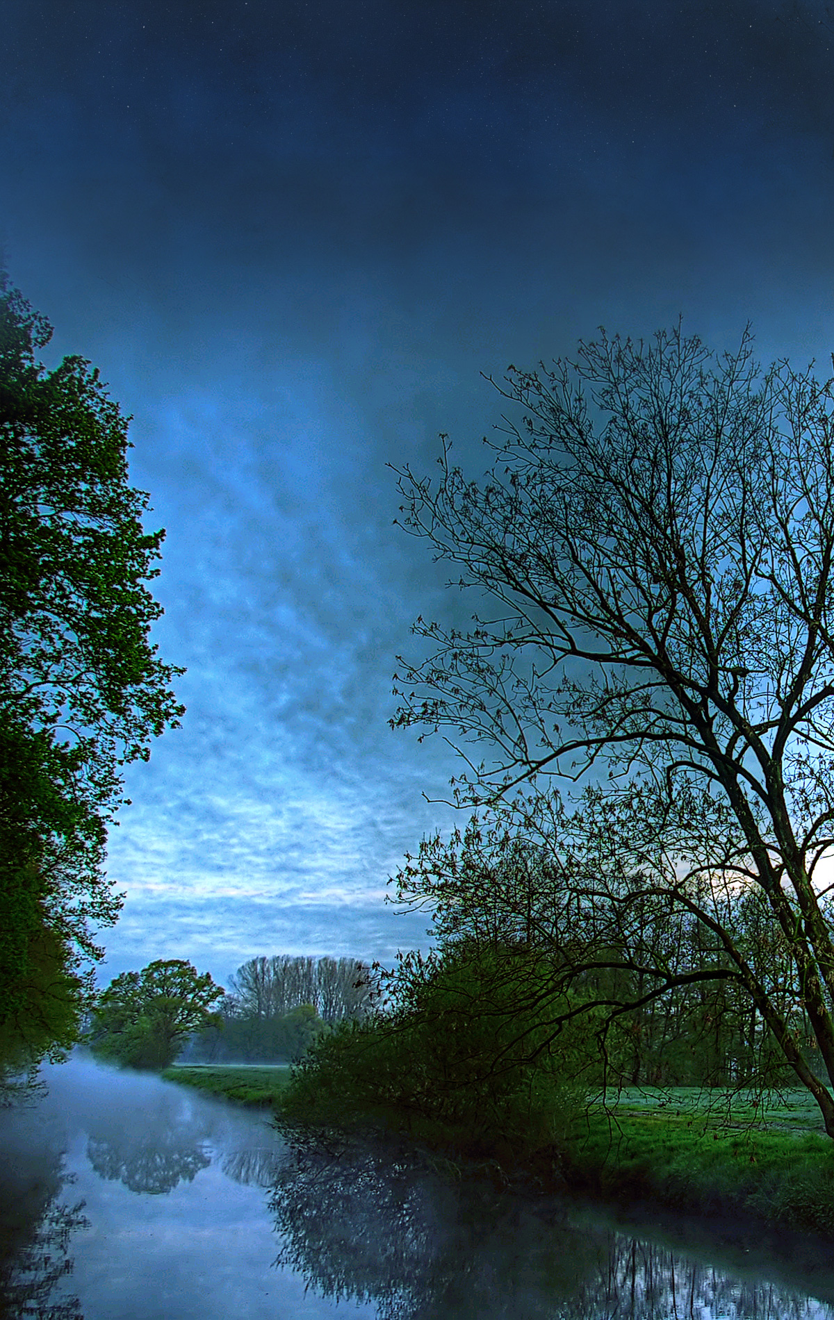 Treelined river at sunset under blue sky and clouds portrait photo
